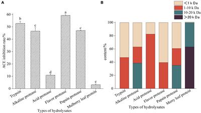 Preparation and activity evaluation of angiotensin-I converting enzyme inhibitory peptides from protein hydrolysate of mulberry leaf